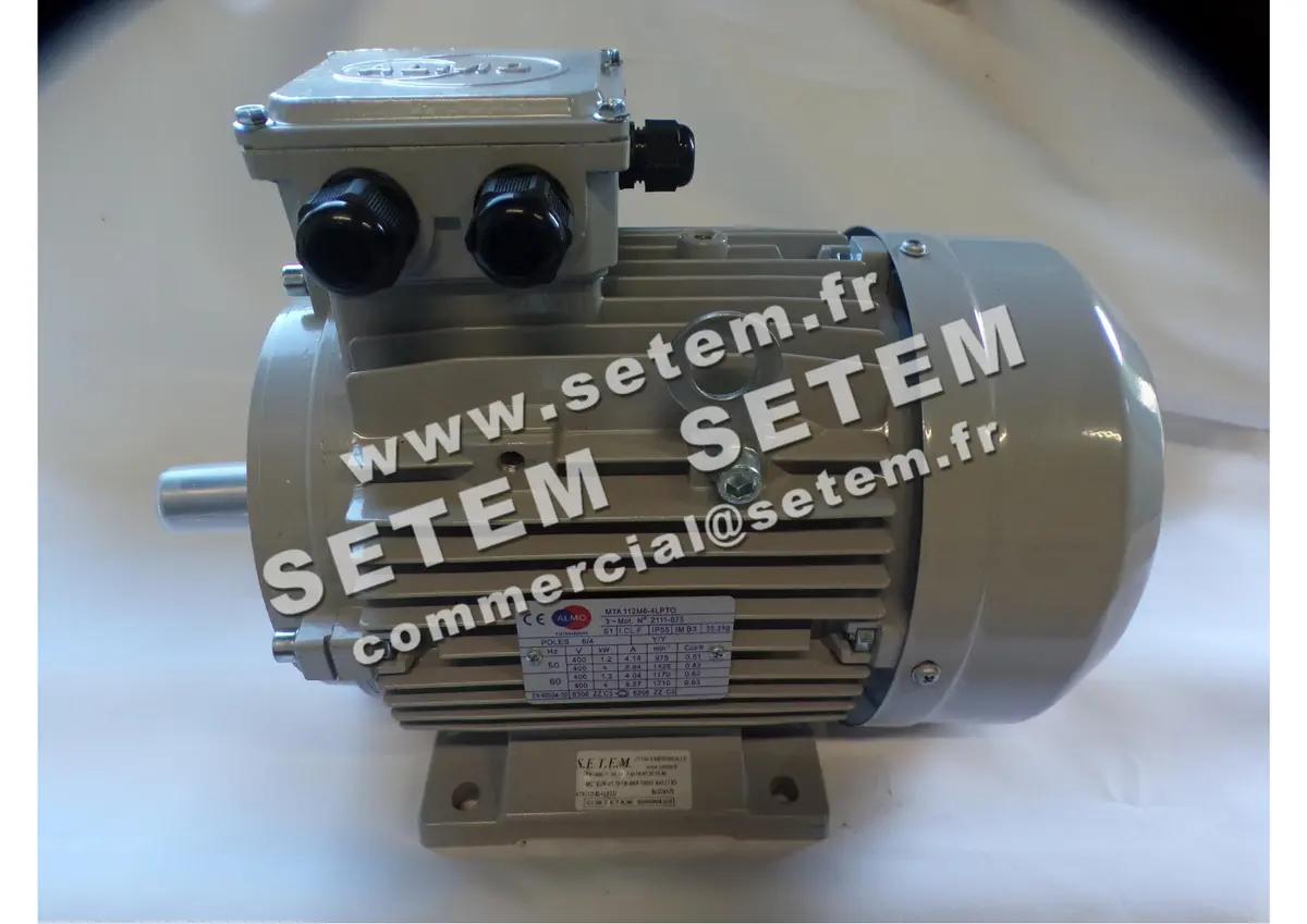 6006004320-MOTEUR ALMO 4/1.20KW 4/6P T400V HA112 B3 MTA112M6-4LPTO 2