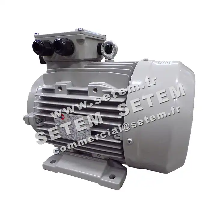 6006004575-MOTEUR ALMO 4/1KW 4/8P T400V HA112 B3 MTA112M8.4LPTO