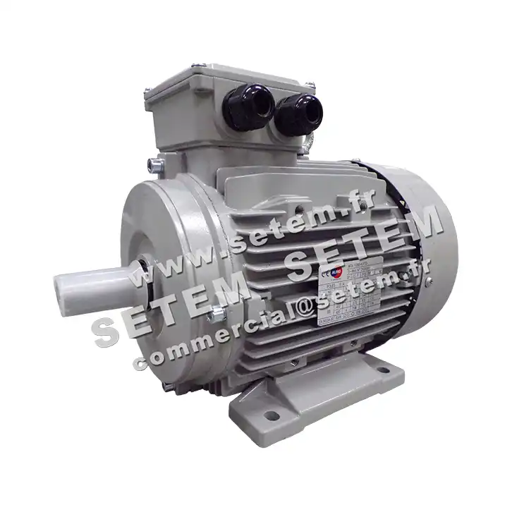 6006004575-MOTEUR ALMO 4/1KW 4/8P T400V HA112 B3 MTA112M8.4LPTO 2