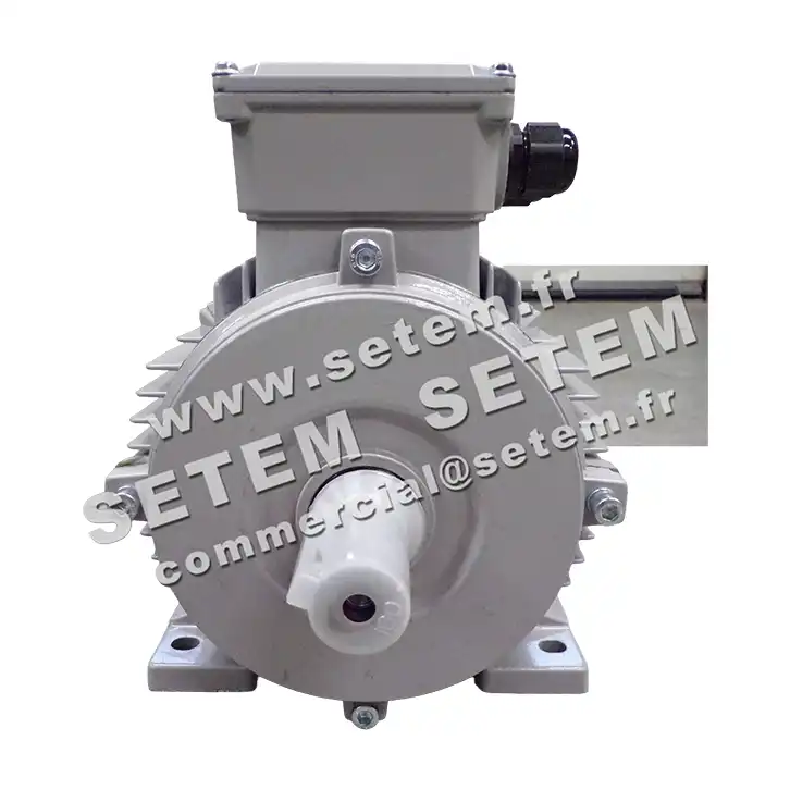 6006004575-MOTEUR ALMO 4/1KW 4/8P T400V HA112 B3 MTA112M8.4LPTO 3
