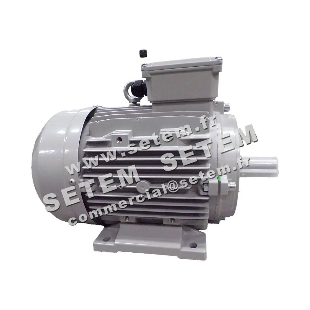 6006004575-MOTEUR ALMO 4/1KW 4/8P T400V HA112 B3 MTA112M8.4LPTO 4