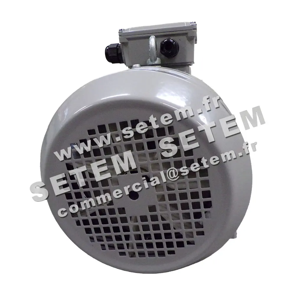 6006004575-MOTEUR ALMO 4/1KW 4/8P T400V HA112 B3 MTA112M8.4LPTO 5