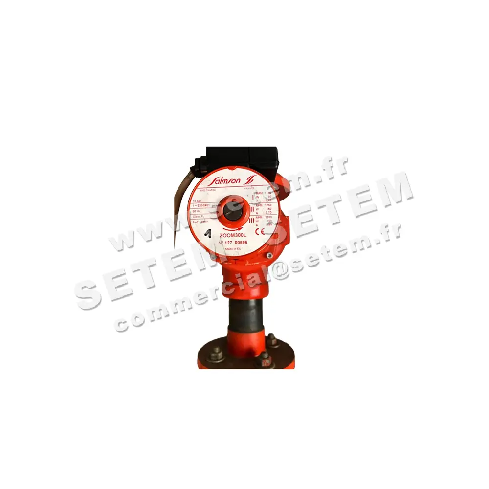 6026002362-POMPE SALMSON ZOOM300L