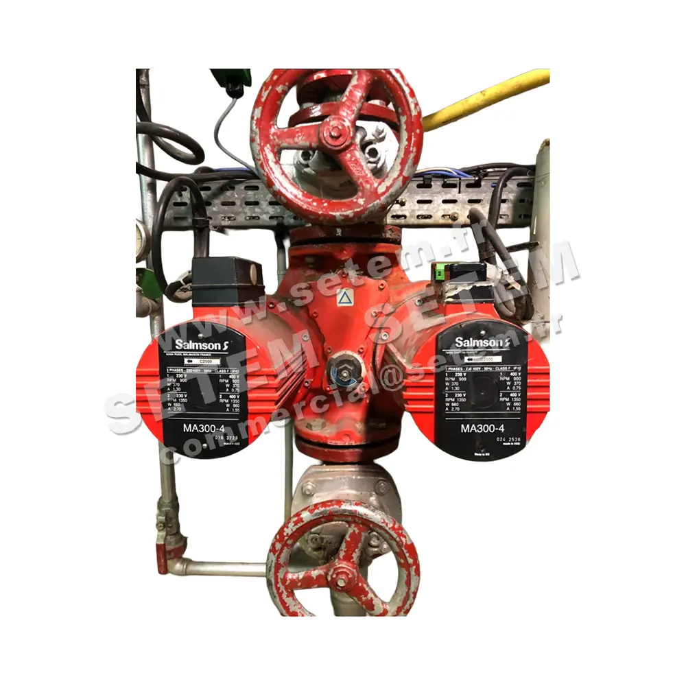 6026004085-MOTEUR SALMSON MA300-4
