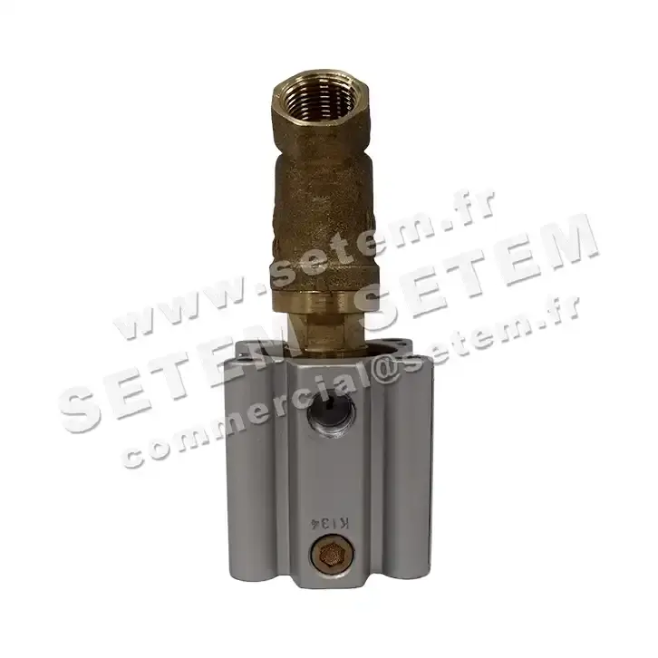 6032000001-ELECTROVANNE SETEMVANNE 532A3VN2010 2