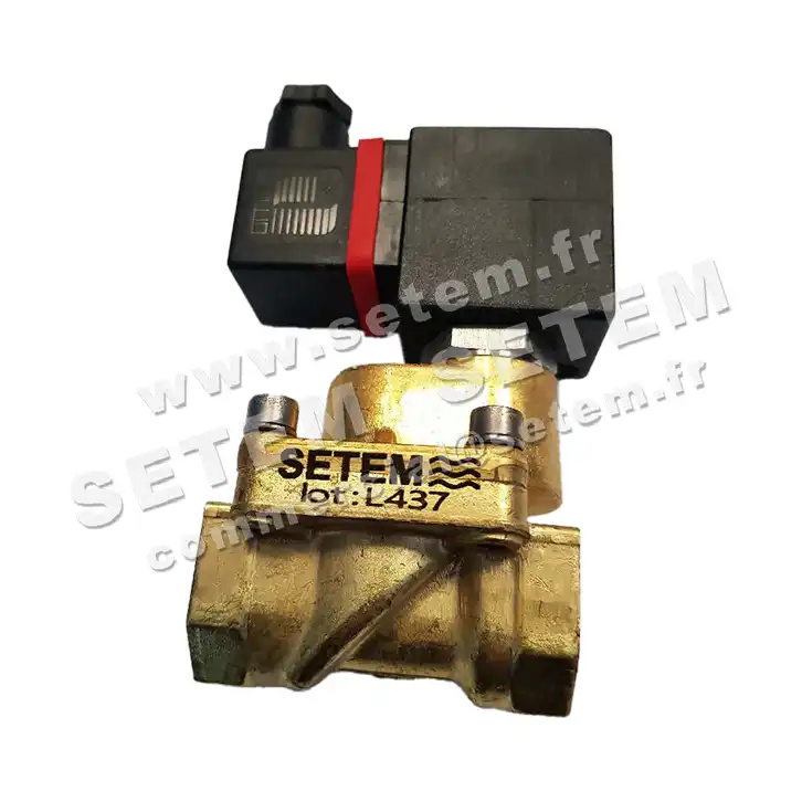 6032000017-ELECTROVANNE SETEM 245A4TNHR 2