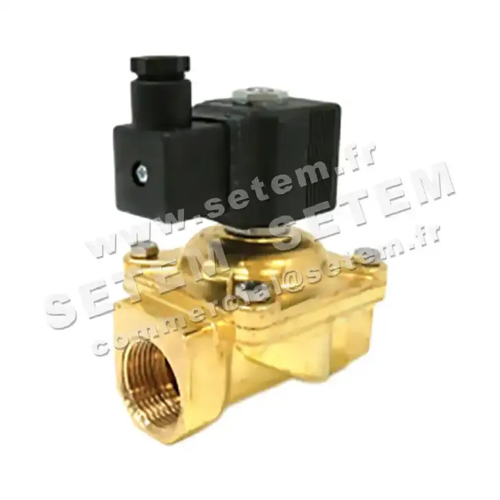 6032000087-ELECTROVANNE SETEMVANNE 275A6BNPN