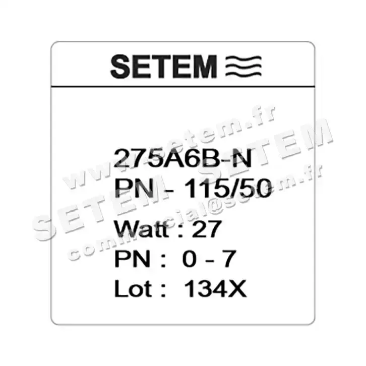 6032000087-ELECTROVANNE SETEMVANNE 275A6BNPN 4
