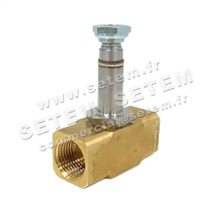 6032000154-CORPS DE VANNE 220A4E64N SETEMVANNE