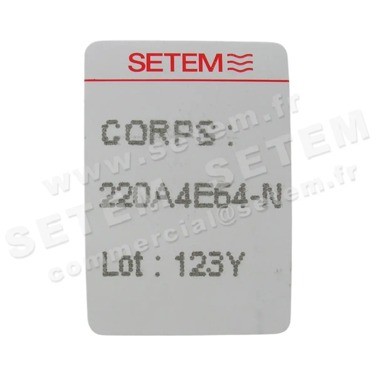 6032000154-CORPS DE VANNE 220A4E64N SETEMVANNE 2