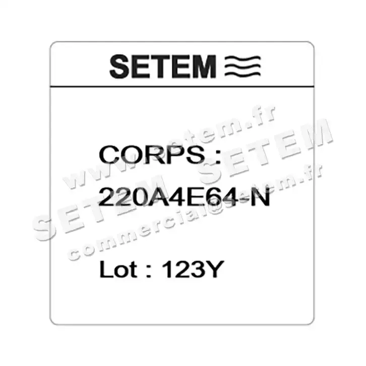 6032000154-CORPS DE VANNE 220A4E64N SETEMVANNE 4