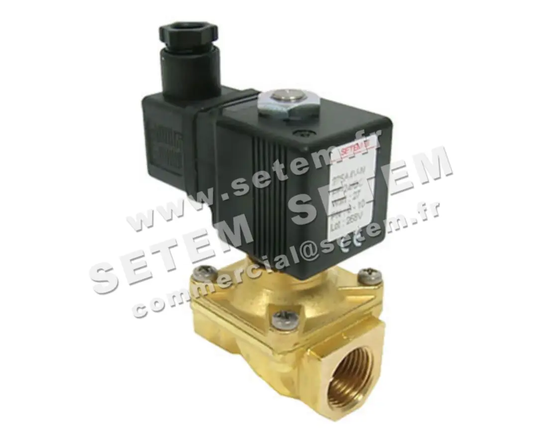 6032000250-ELECTROVANNE SETEMVANNE 275A4VNPF