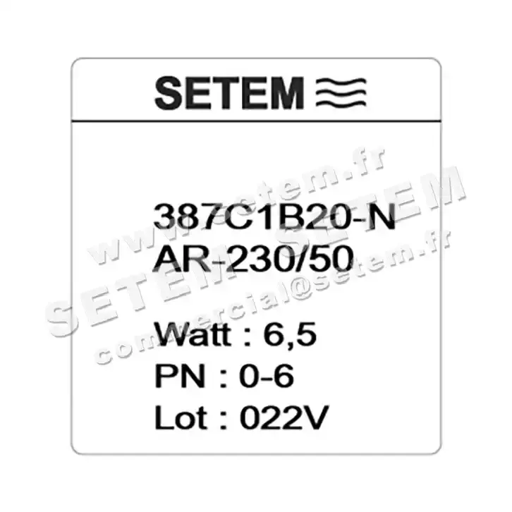 6032000387-ELECTROVANNE SETEMVANNE 387C1B20NAR 2