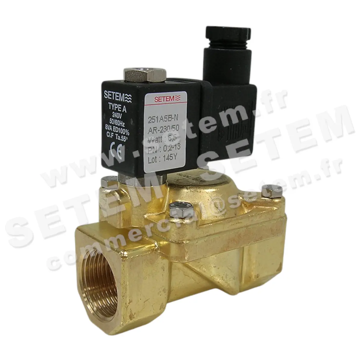 6032000621-ELECTROVANNE SETEMVANNE 251A5BNAR