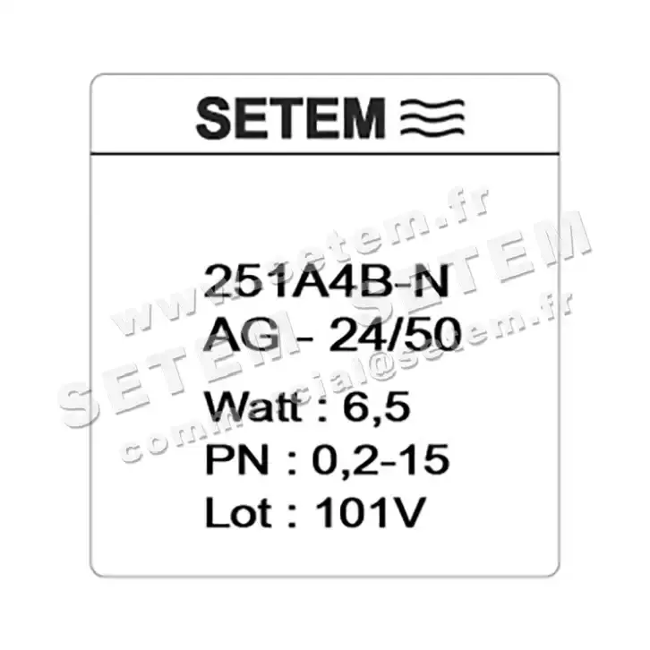 6032000630-ELECTROVANNE SETEMVANNE 251A4BNAG 3