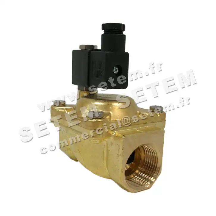 6032000685-ELECTROVANNE SETEM 253A6VNCF 2