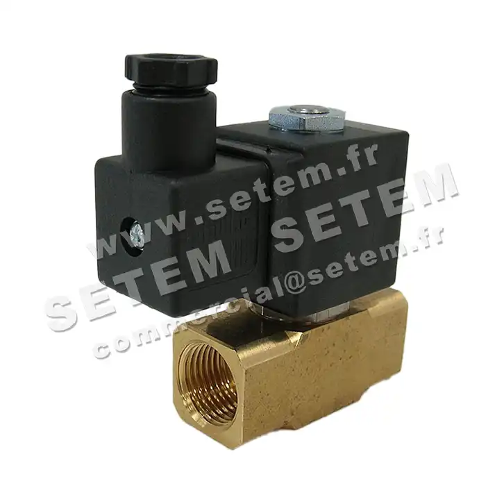 6032000791-ELECTROVANNE SETEM 220A4B64NEF 2