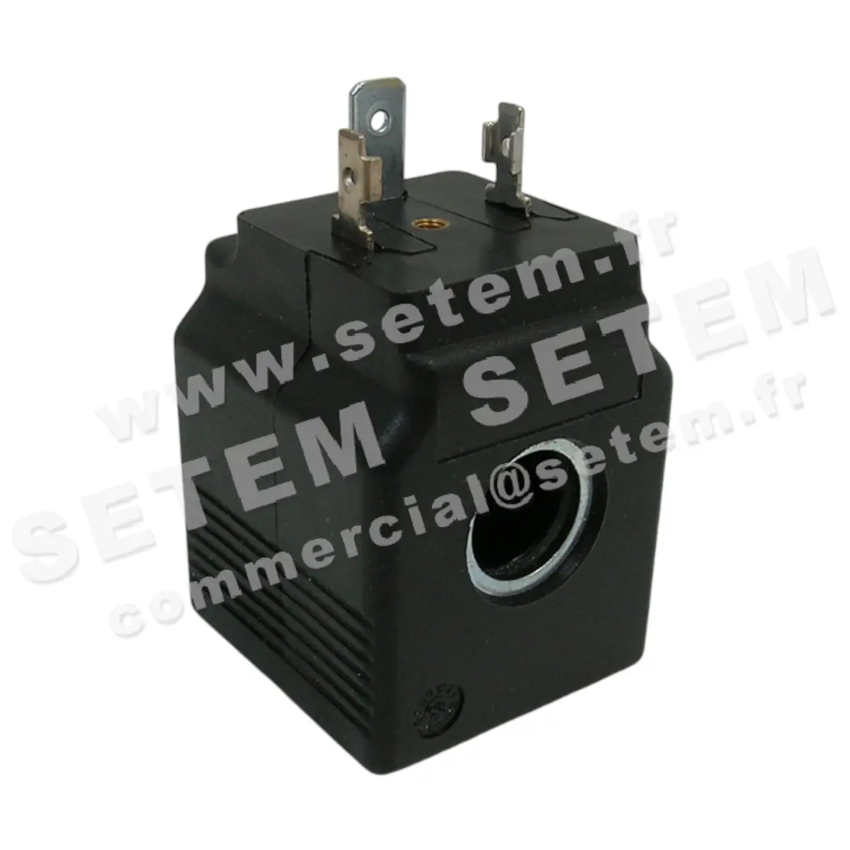 6032000811-BOBINE SETEMVANNE RPM 115VDC