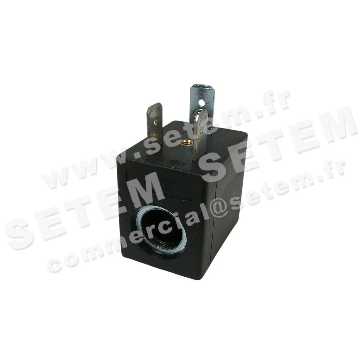 6032000823-BOBINE SETEMVANNE RAF-24VDC