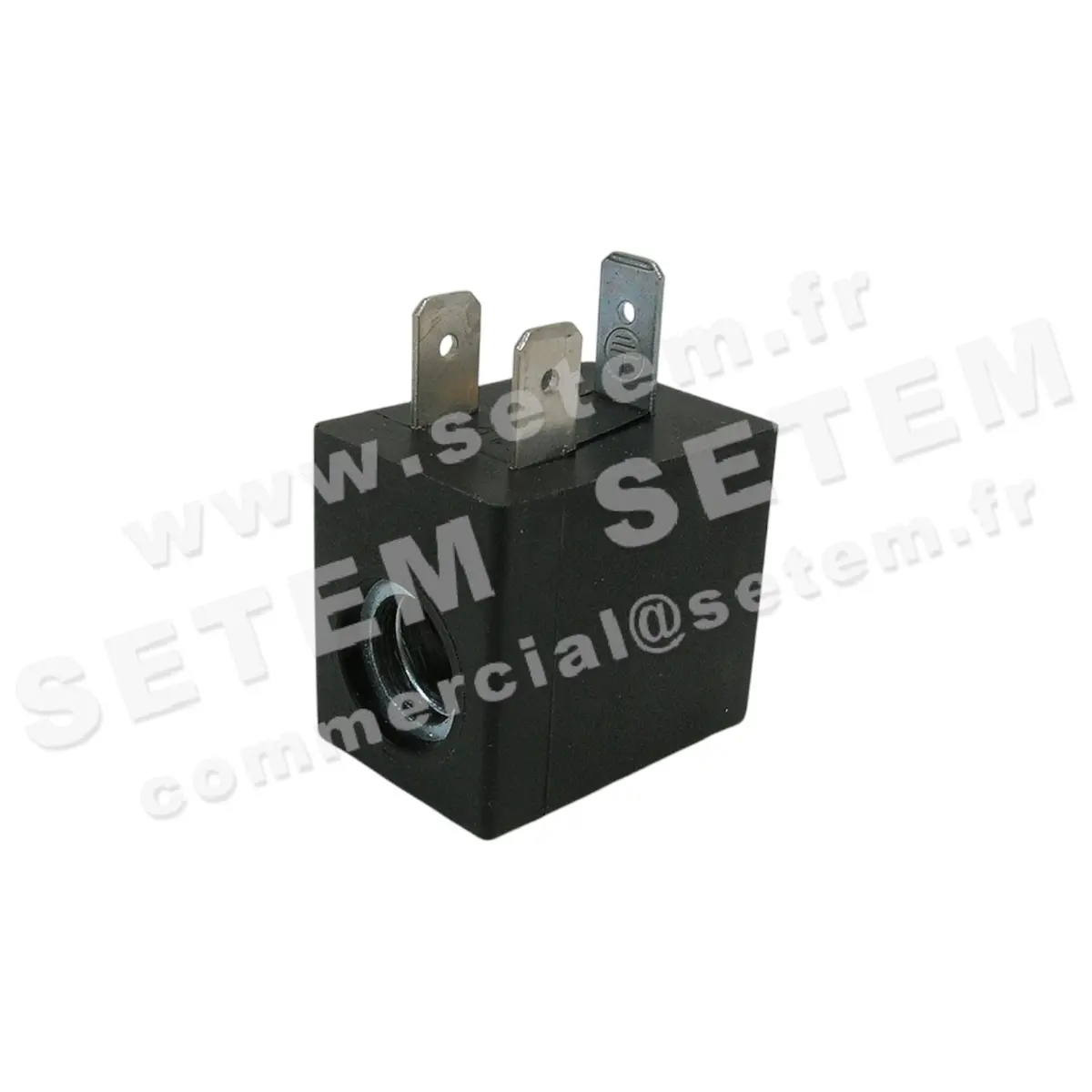 6032000824-BOBINE SETEMVANNE RCF.24VDC