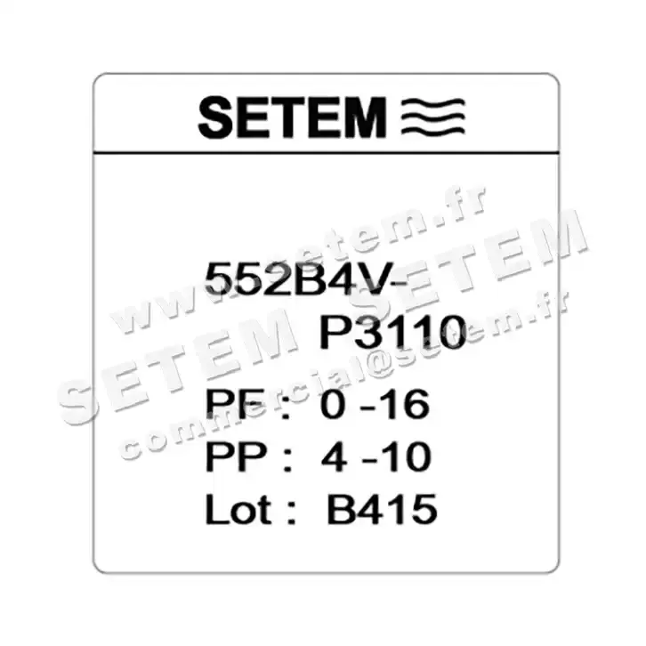 6032002054-VANNE 552B4VP3110 SETEM 3