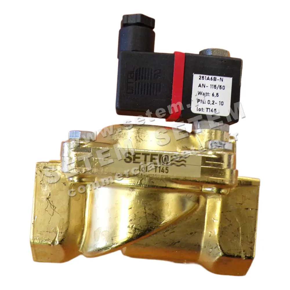 6032005124-ELECTROVANNE SETEM 251A6BNAN 2