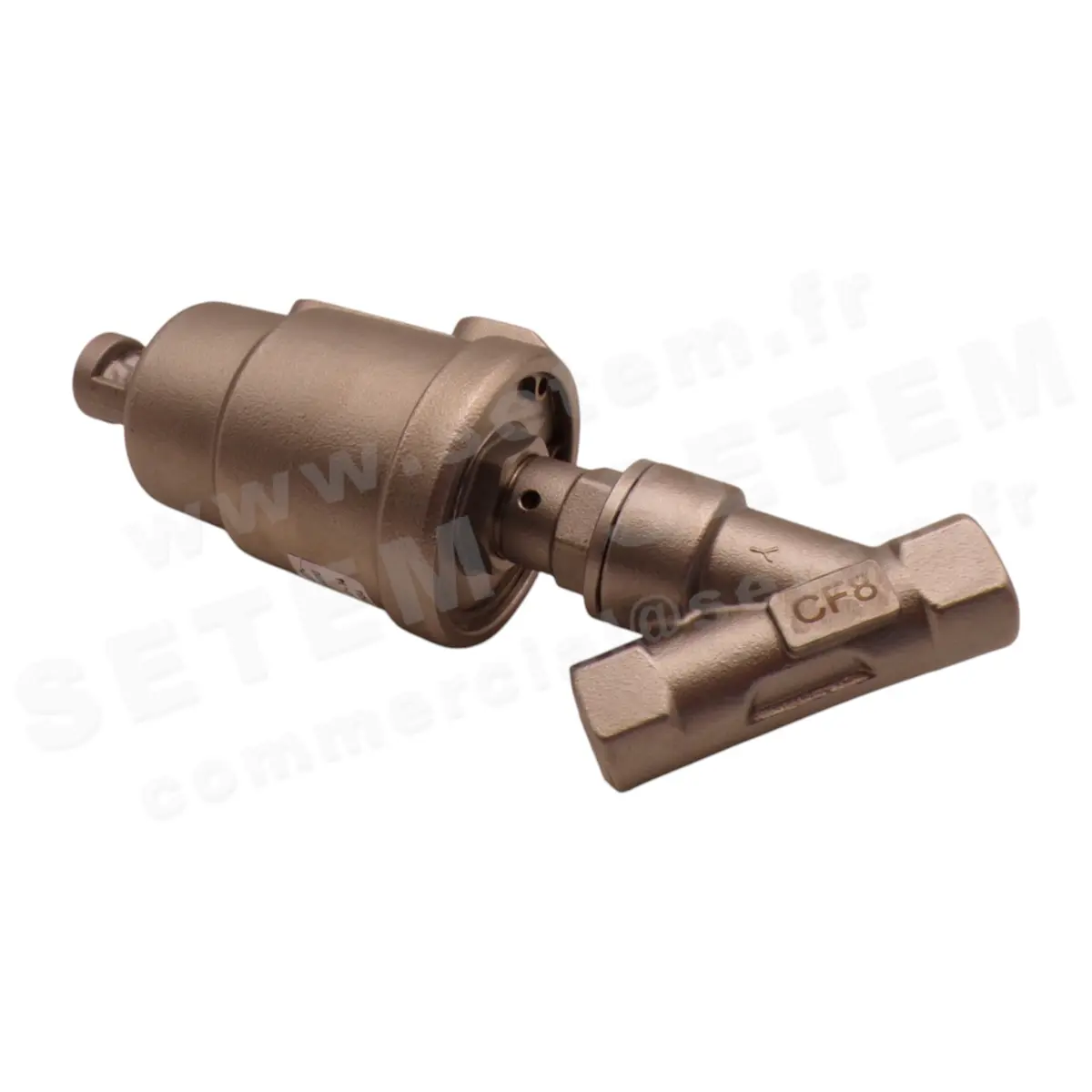 6032005219-VANNE PNEUMATIQUE SETEMVANNE 516A3T-P4110