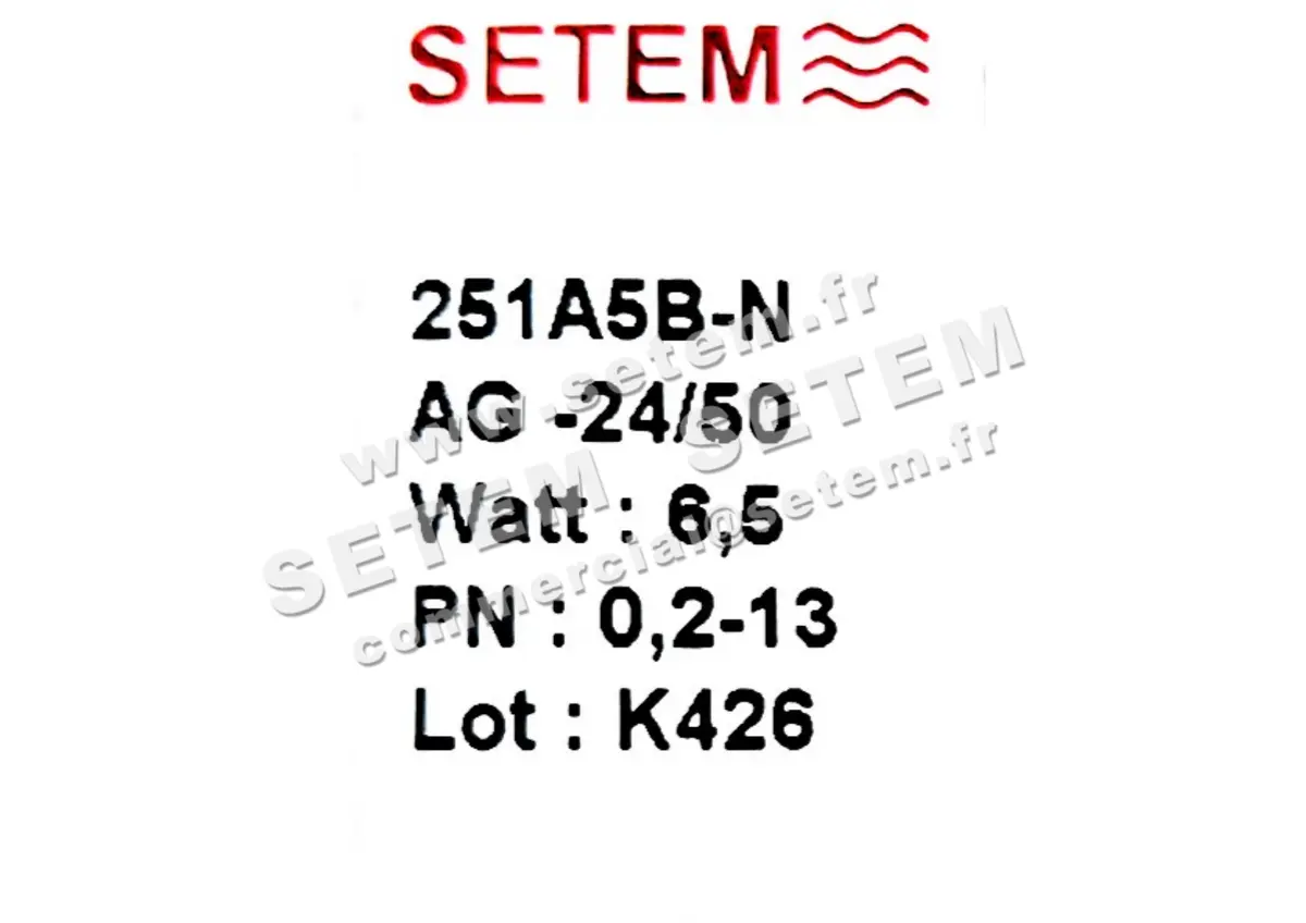 6032008398-ELECTROVANNE SETEM 251A5BNAG 2