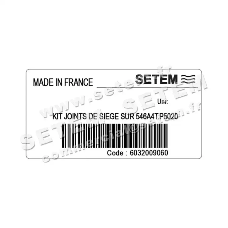 6032009060-KIT JOINTS DE SIEGE SUR 546A4T.P5020 SETEMVANNE 3
