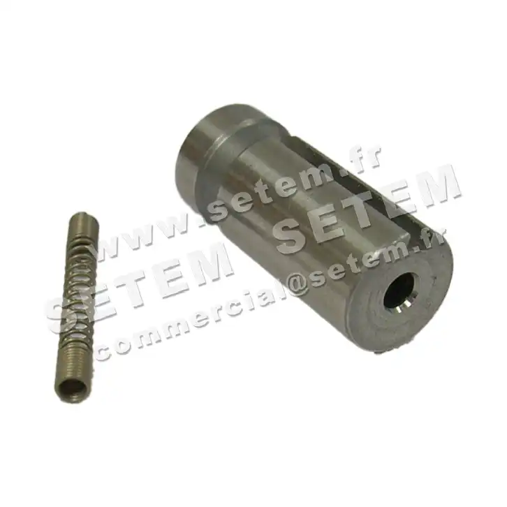 6032009070-KIT RESSORT PLONGEUR SUR 253A6VNCF SETEM 2