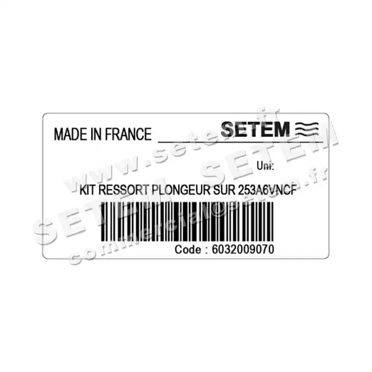 6032009070-KIT RESSORT PLONGEUR SUR 253A6VNCF SETEMVANNE 3