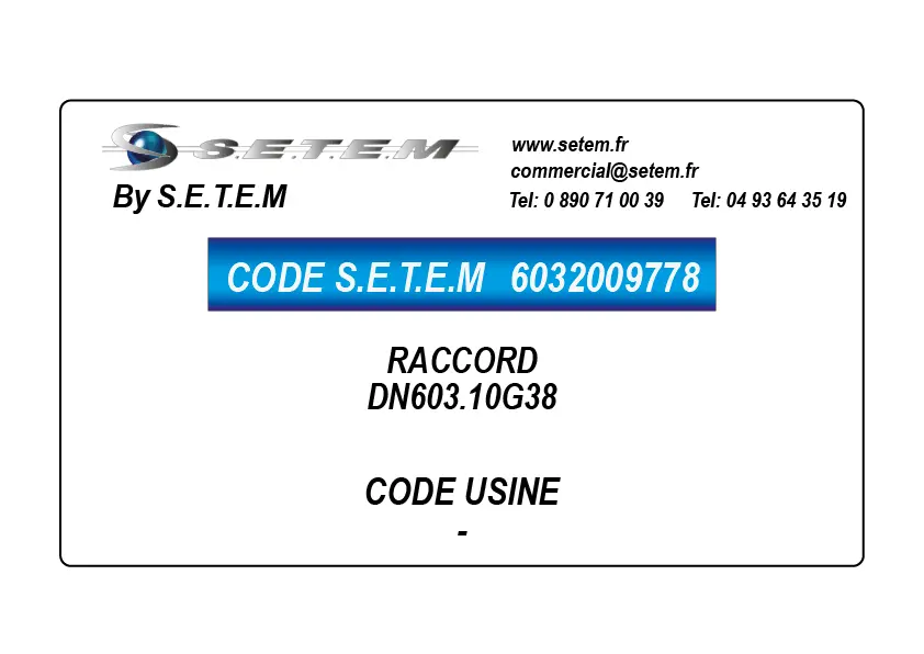 6032009778-RACCORD DN603.10G38 SETEM
