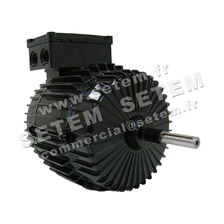 6111000004-MOTEUR SUDELECTRI MDA.T2065.NSV.N DA.T.265.6/6.V *255822*