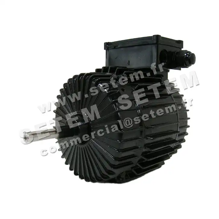 6111000004-MOTEUR SUDELECTRI MDA.T2065.NSV.N DA.T.265.6/6.V *255822* 2