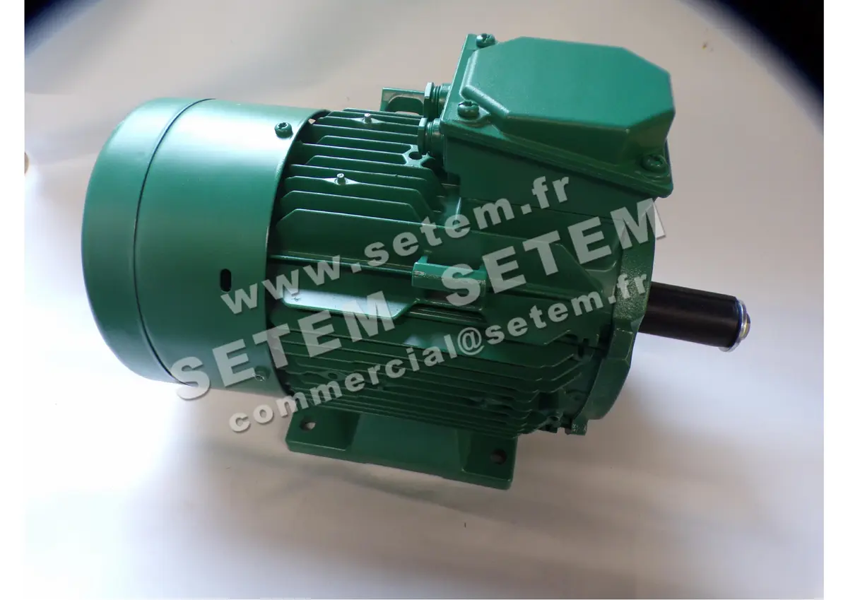 6125109615-MOTEUR SEARLE 1.70KW 6P T400V HA100 B3 +PTO LS100L *212-017-306-90*