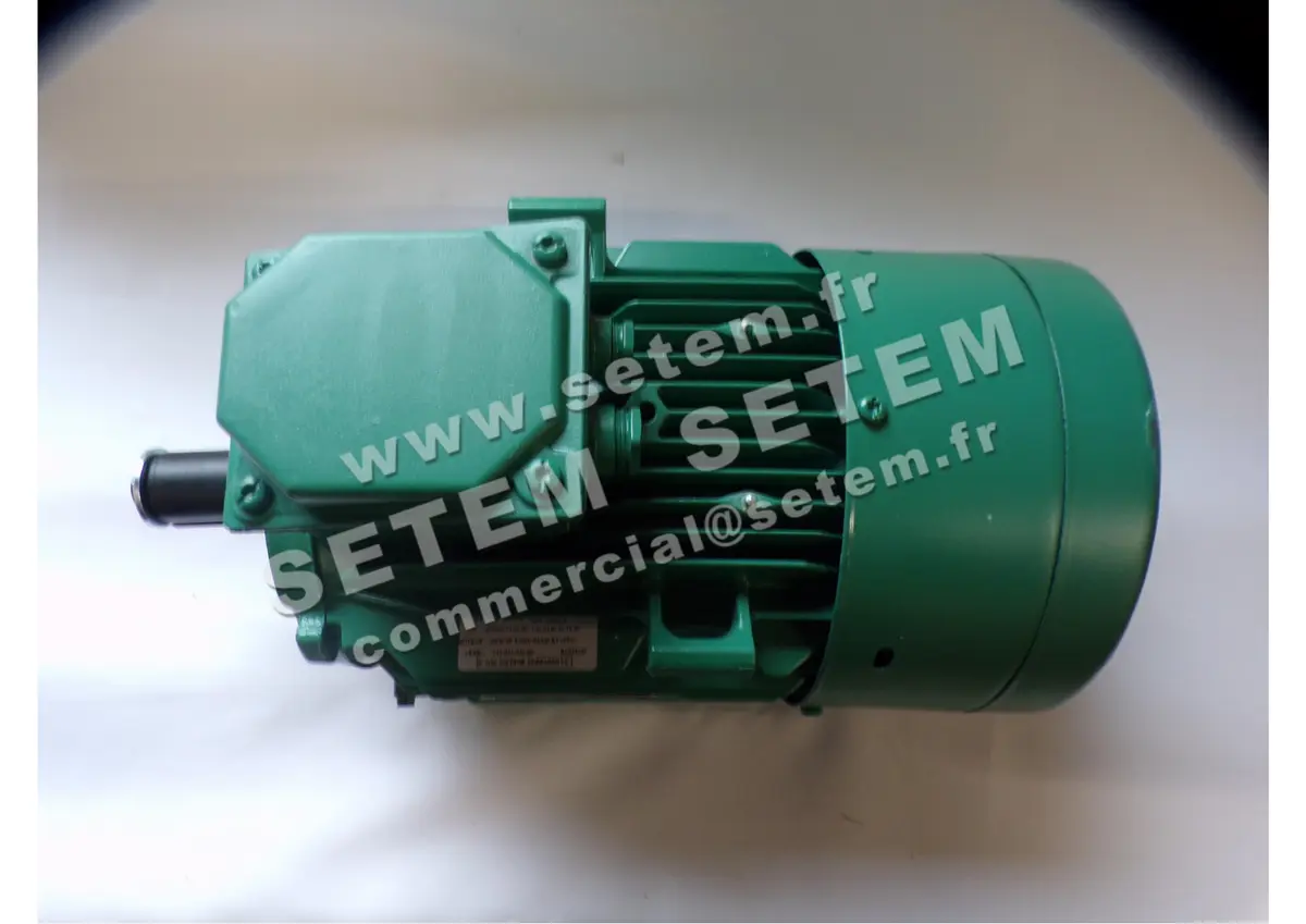 6125109615-MOTEUR SEARLE 1.70KW 6P T400V HA100 B3 +PTO LS100L *212-017-306-90* 2