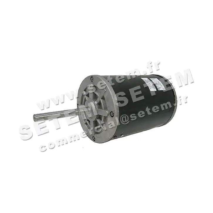 6129002059-MOTEUR SMEN 21GFF6006 "261307" *5212059* 2