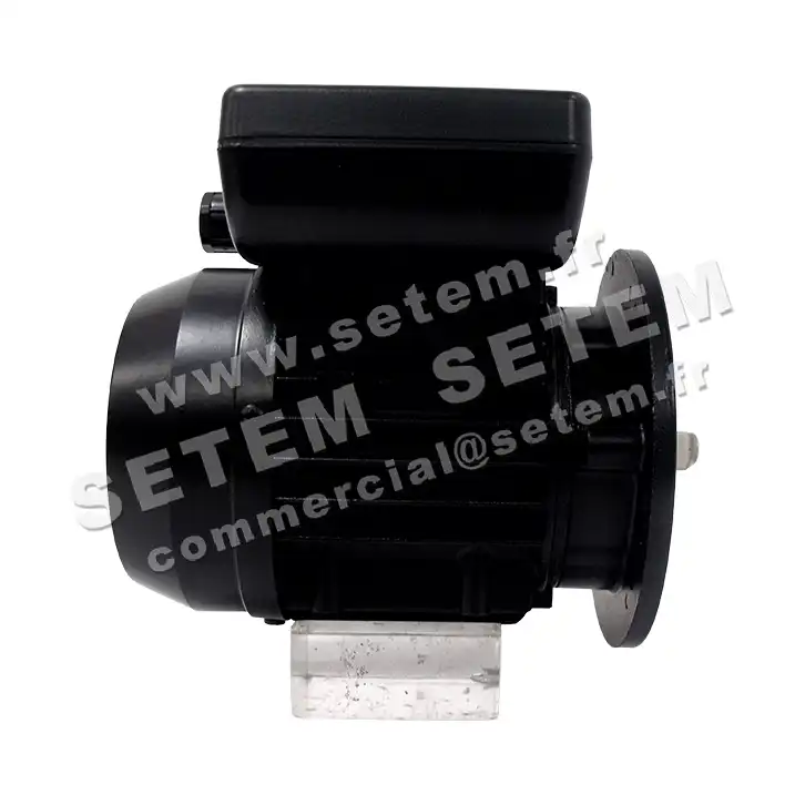 6132005695-MOTEUR SIMEL 24A/197 3