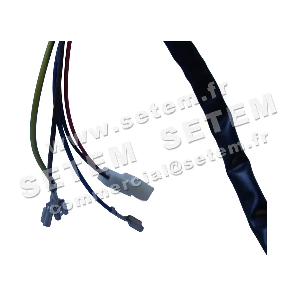 6185000098-MOTEUR SISME P35810P0081 "D021795H01" 4