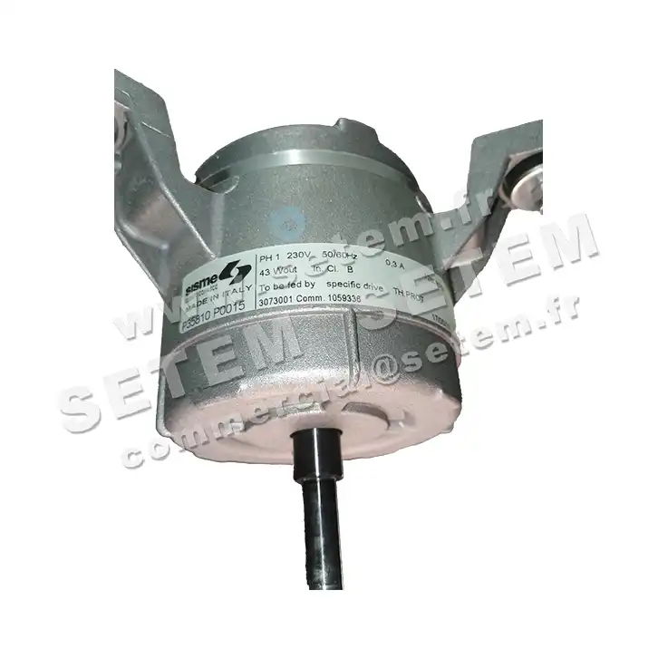 6185004114-MOTEUR SISME P35810P0015