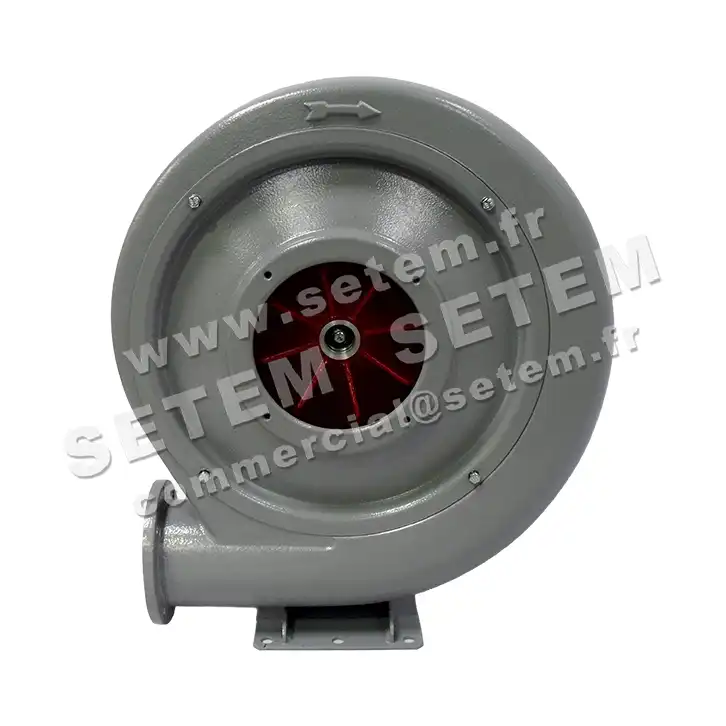 6194001432-VENTILATEUR SP CBT80N 2
