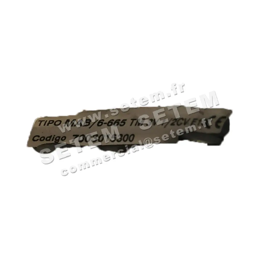 6194009899-MOTEUR SP MAB/6.665TM3V *7003015300* 2