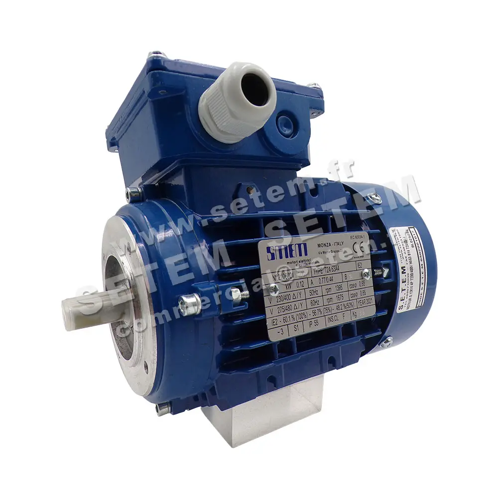 6302001017-MOTEUR SMEN T2A 63A4 IE2 S1 IP55 INS.CL F 2