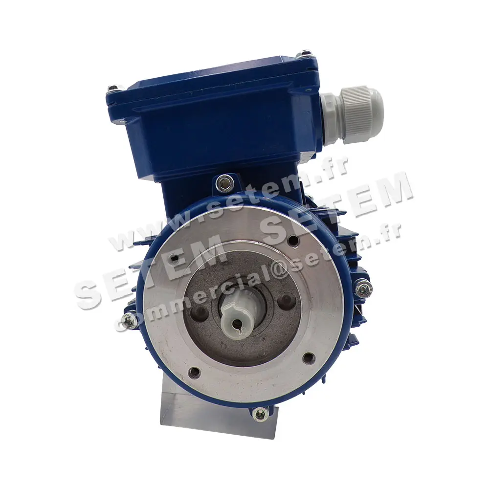 6302001017-MOTEUR SMEN T2A 63A4 IE2 S1 IP55 INS.CL F 3