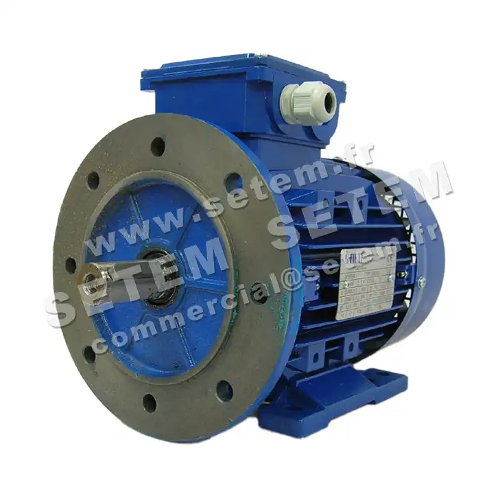 6302001093-MOTEUR SMEM 1.50KW 4P T230/400V HA90 B35 6SM2.90L4