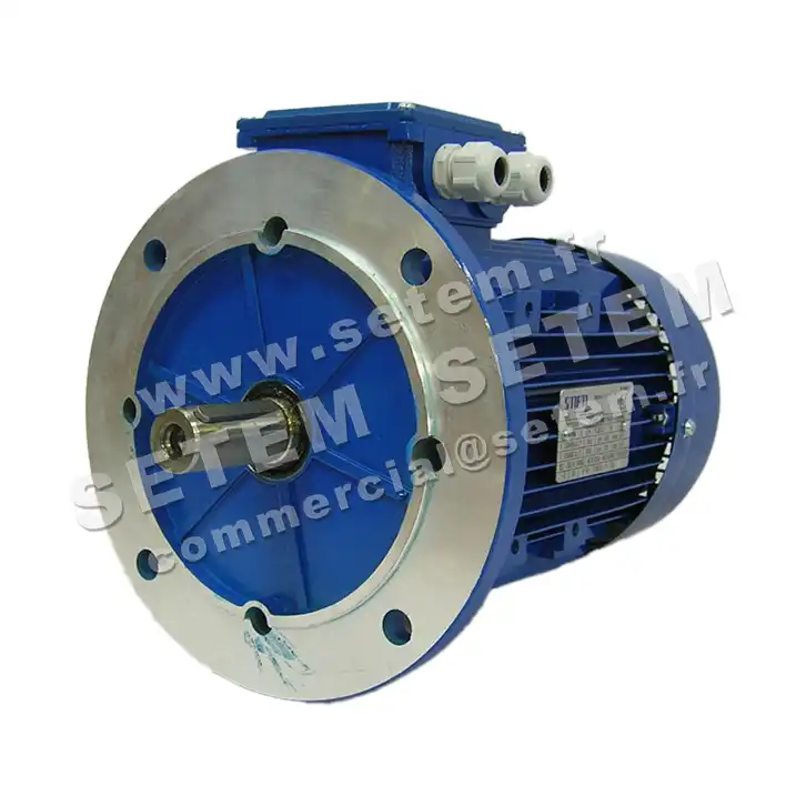 6302001121-MOTEUR SMEM 3KW 4P T230/400V HA100 B5 6SM2100LB4