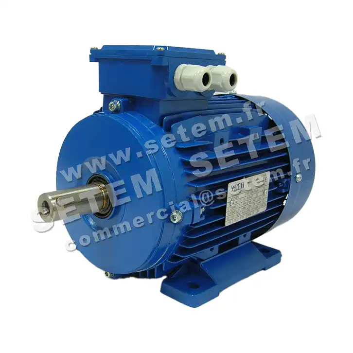 6302005081-MOTEUR SMEM 2.20KW 4P T230/400V HA100 B3 *6SM2.100LA4*