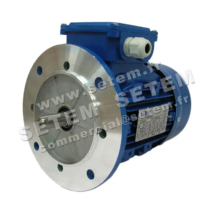 6302005099-MOTEUR SMEM 0.75KW 4P T230/400V HA80 B5 6SM2.80B4