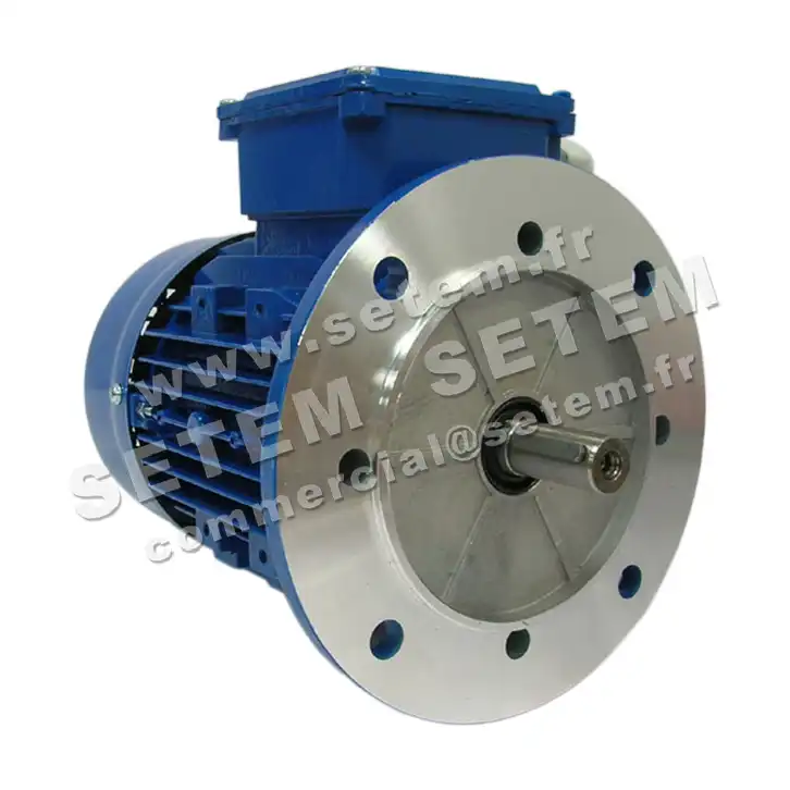 6302005099-MOTEUR SMEM 0.75KW 4P T230/400V HA80 B5 6SM2.80B4 2