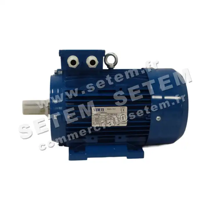 6302005114-MOTEUR SMEM 3KW 4P T230/400V HA100 B3 *6SM2100LB4* 2